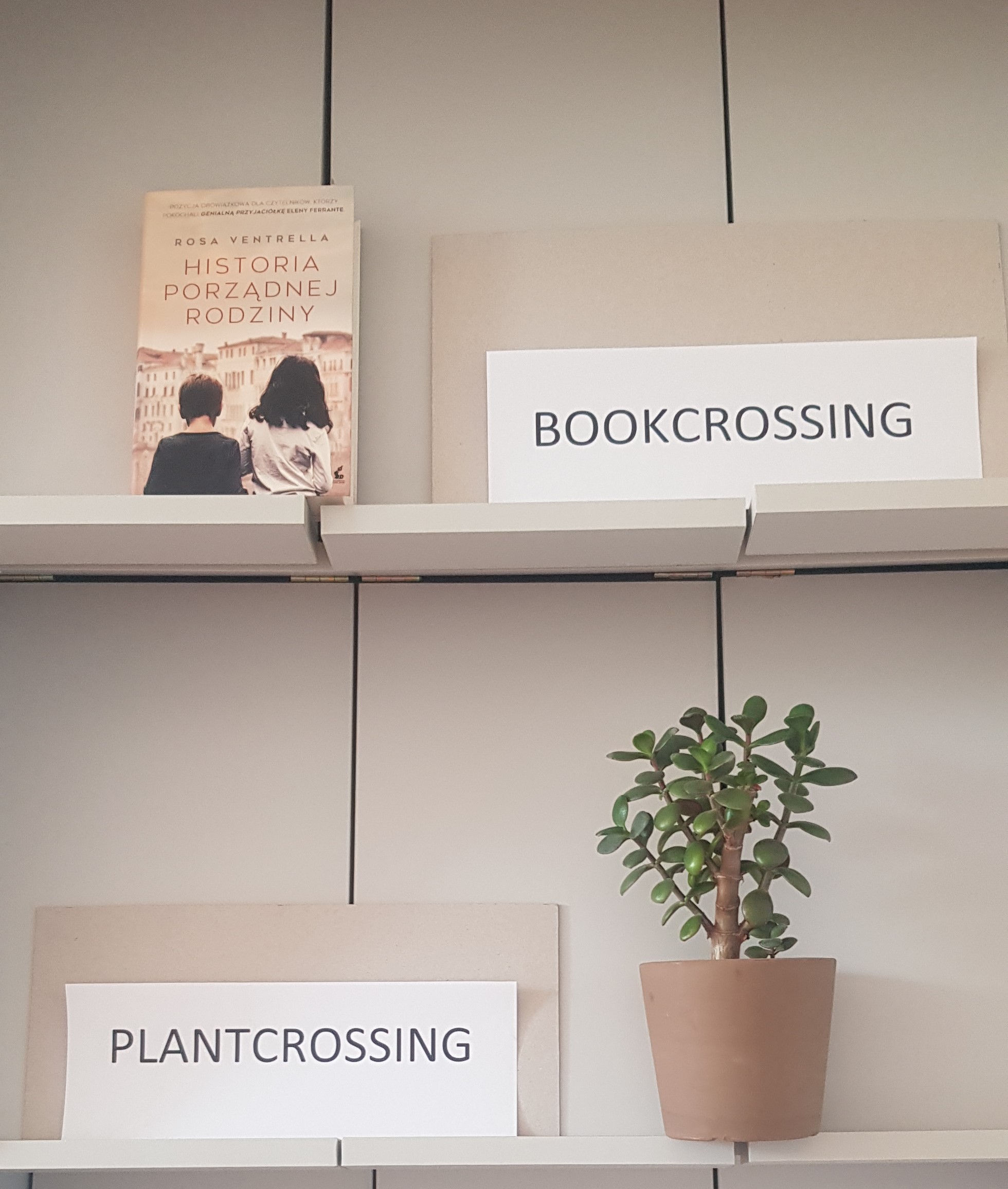 bookcrossing